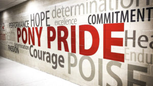 pony pride word wall