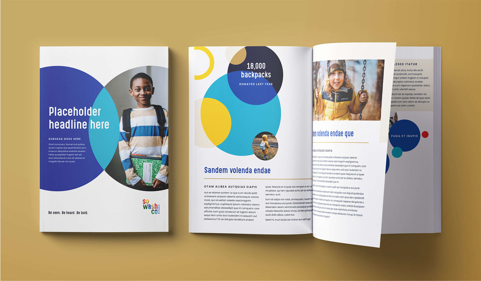 sowashco brochure design