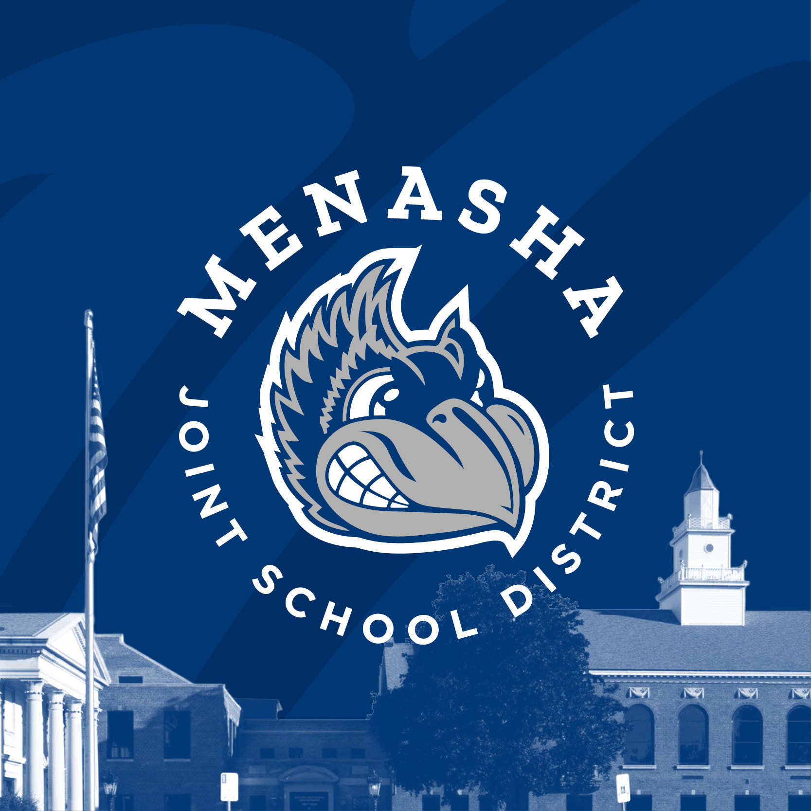 Menasha Joint School District: Bluejay Branding