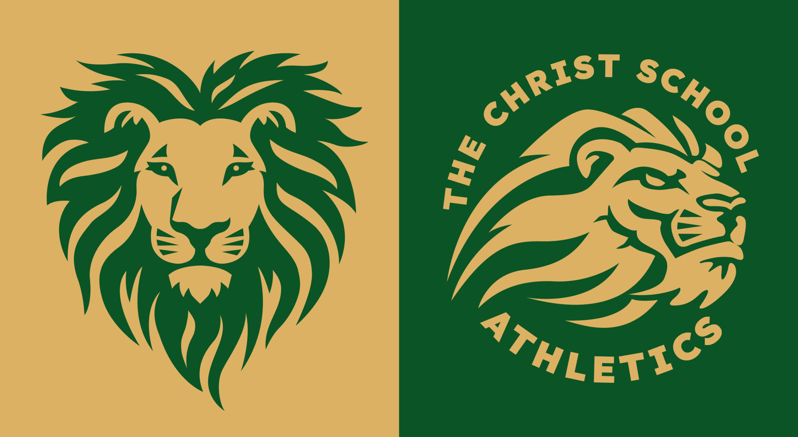 side-by-side TCS Roary mascots on green and gold